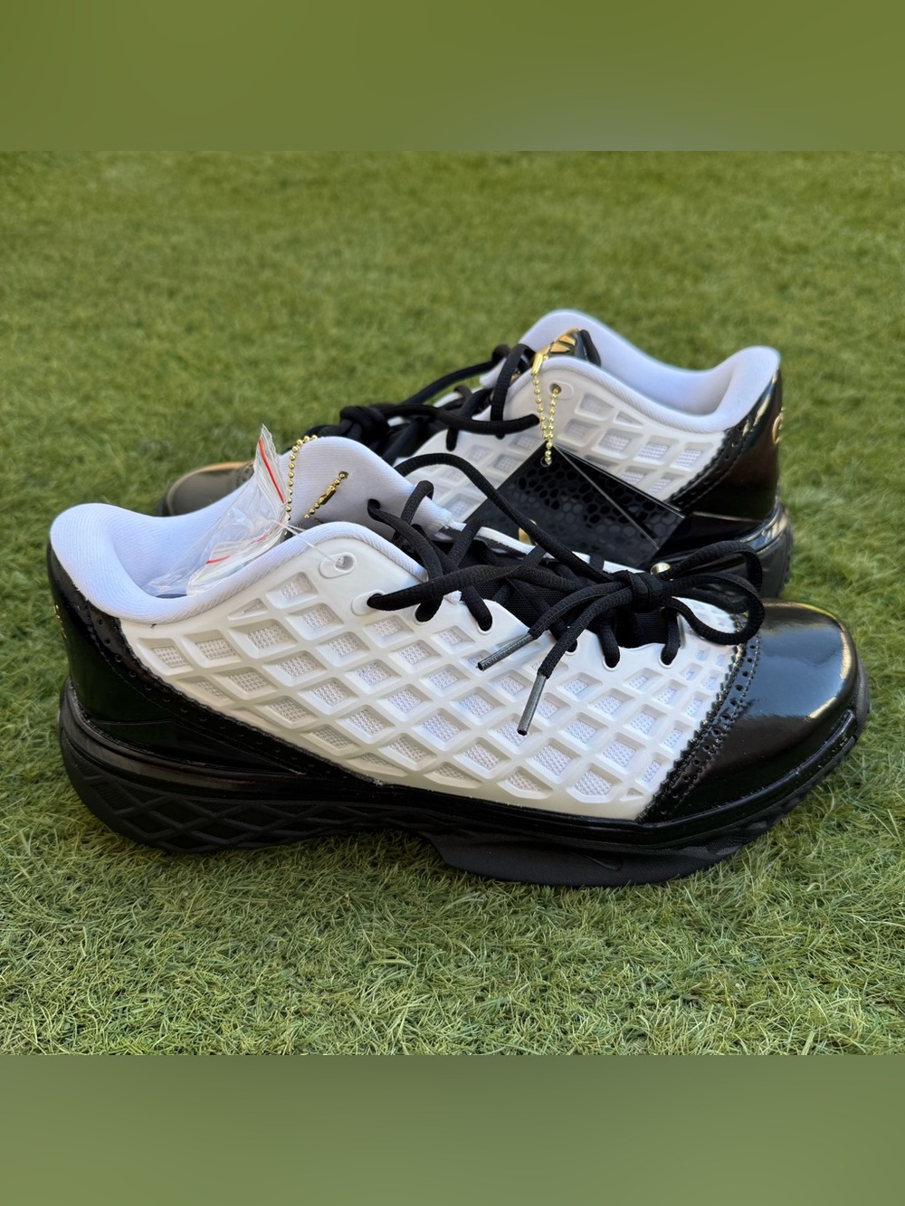 Nike Kobe III Low Protro